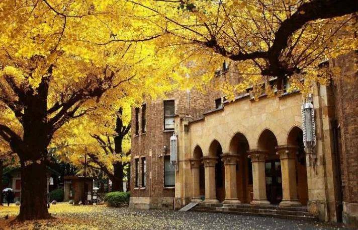 同学|重磅！U.S.New2021世界大学排名出炉~