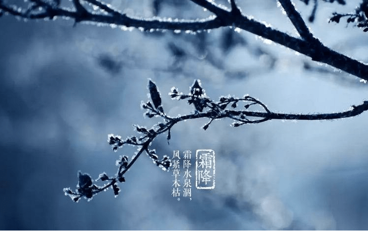 f08f3d64501342fcb91a52eda0a54f29.png