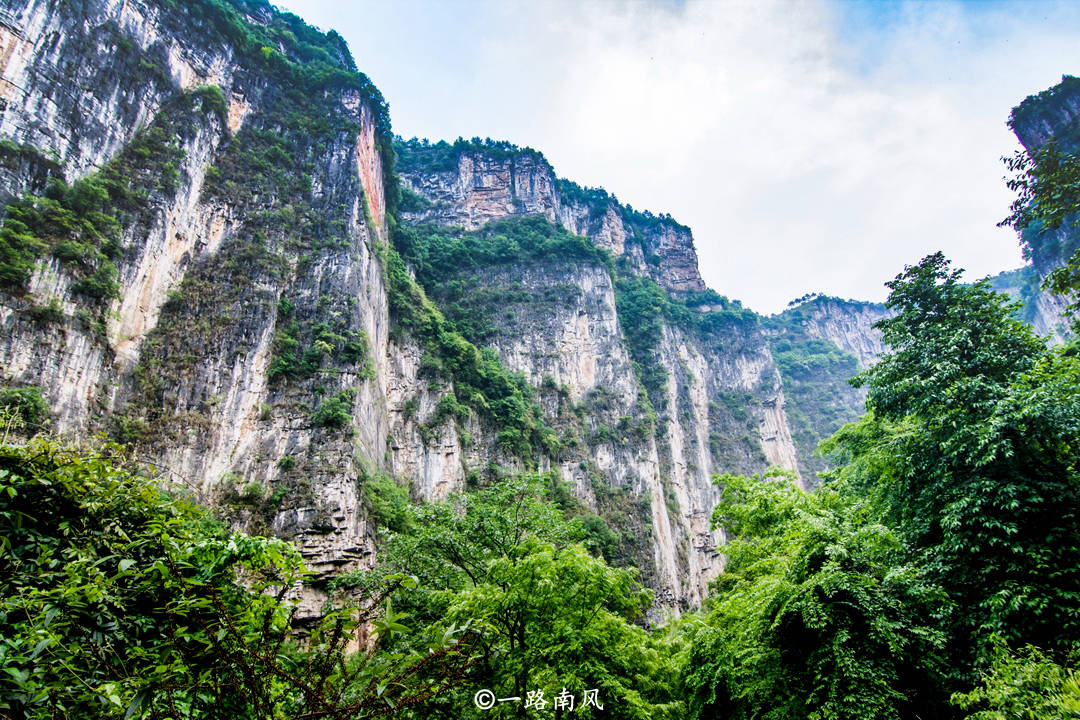 贵州有个神奇天坑，瀑布从洞穴轰隆流出，成群燕子一直在天窗盘旋_绝壁