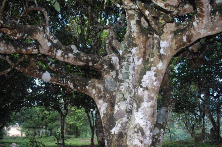 214f477478df4cd1a5798dacd6e6095c.jpeg
