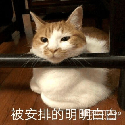 同事|原创李现不烟酒拒立人设,被同事爆料看着奶茶喝白水,服现男友了