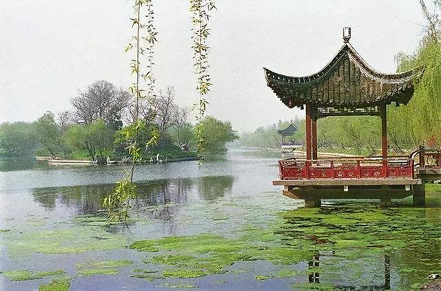 壬午杨柳木命是什么