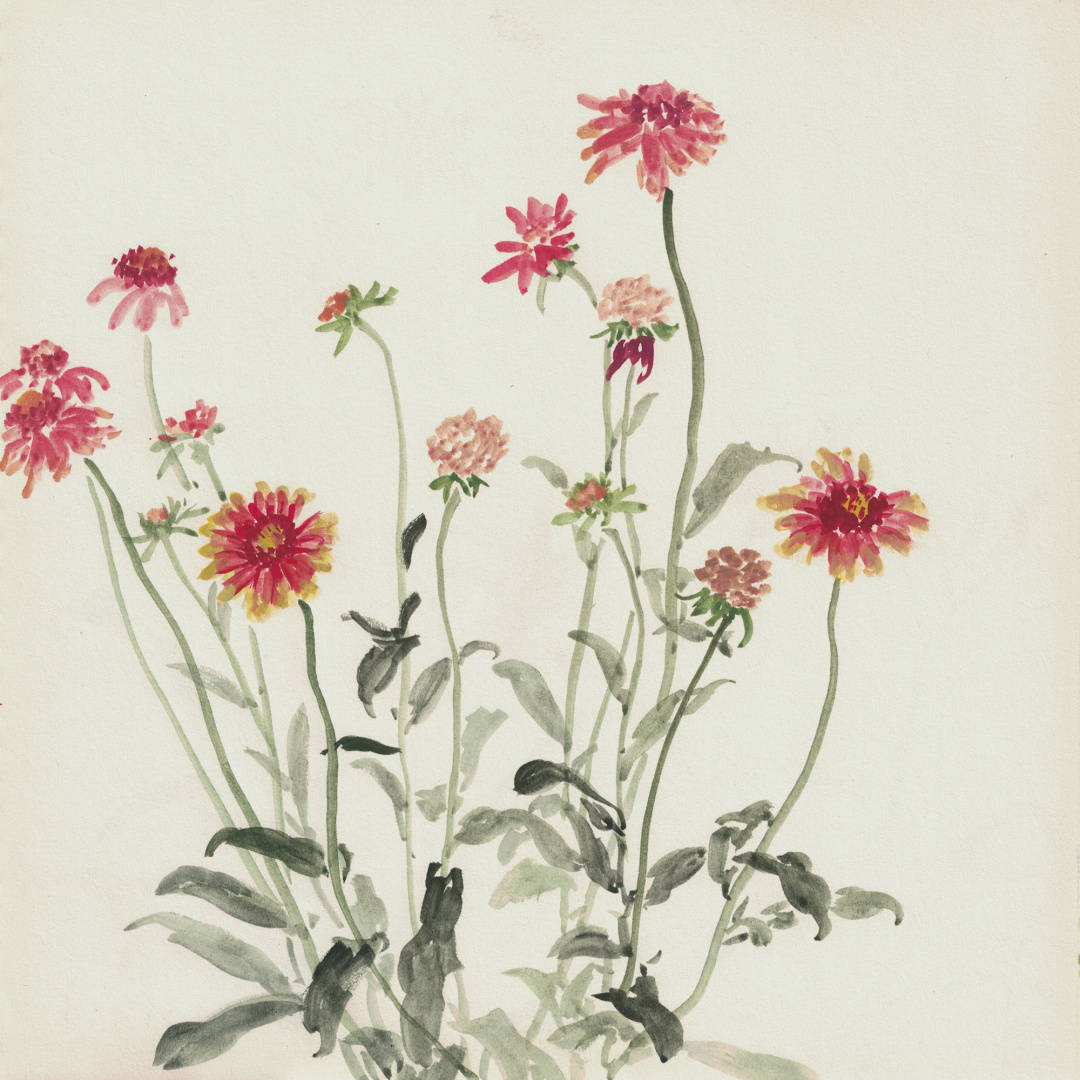 《草花写生》其二 返回搜 