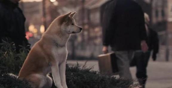 梦中旧友与忠犬，一场来自潜意识的久别重逢