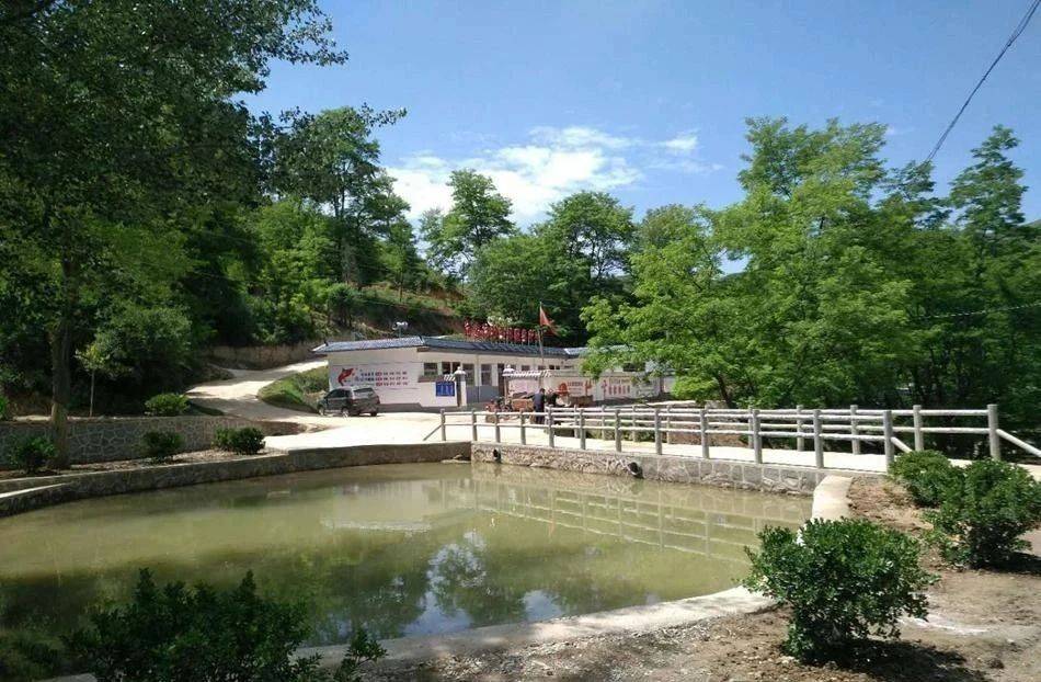 天水秦州区杨家寺镇白家沟村:交一份满意的脱贫答卷