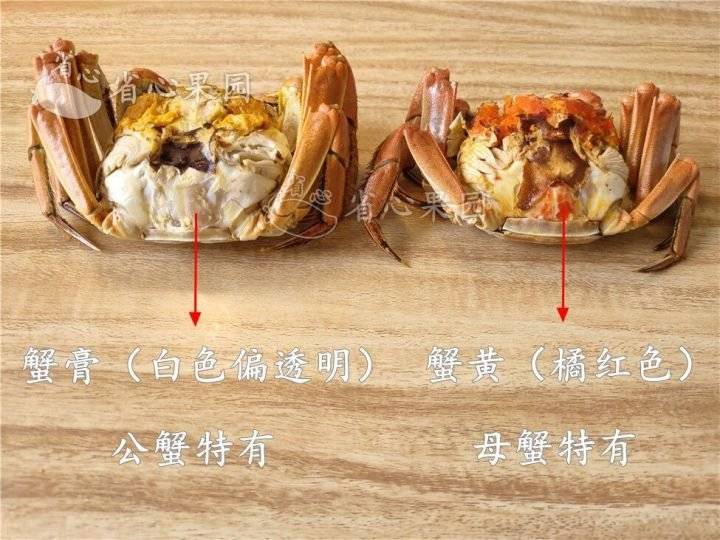 简单易学的挑大闸蟹技巧(图文详解)