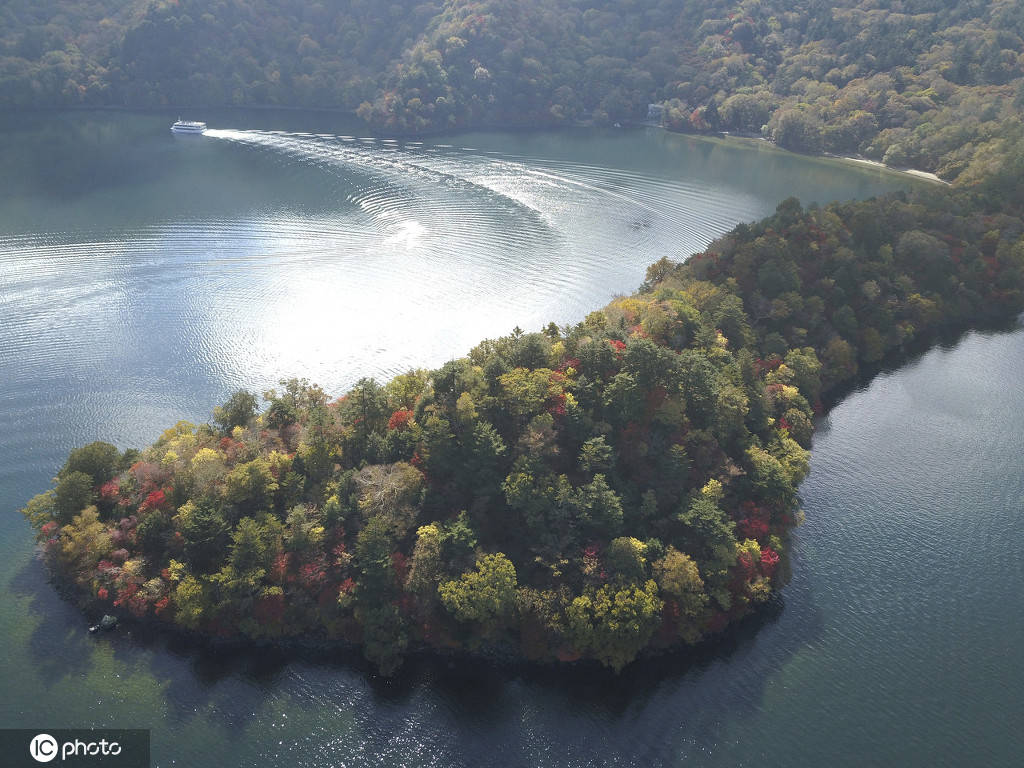 日本栃木县秋意浓 湖心小岛层林尽染
