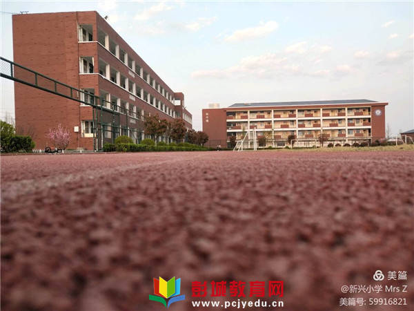 新兴论坛 即日开讲