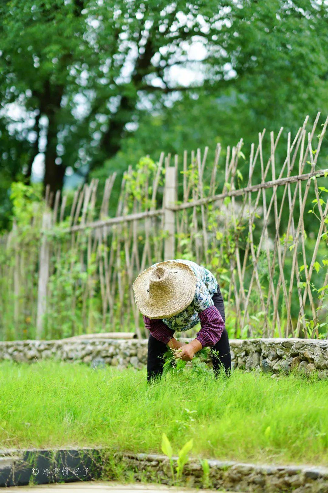 云贤|黄山古村碧山，在400年历史的徽派老宅做手工，度过难忘一夏