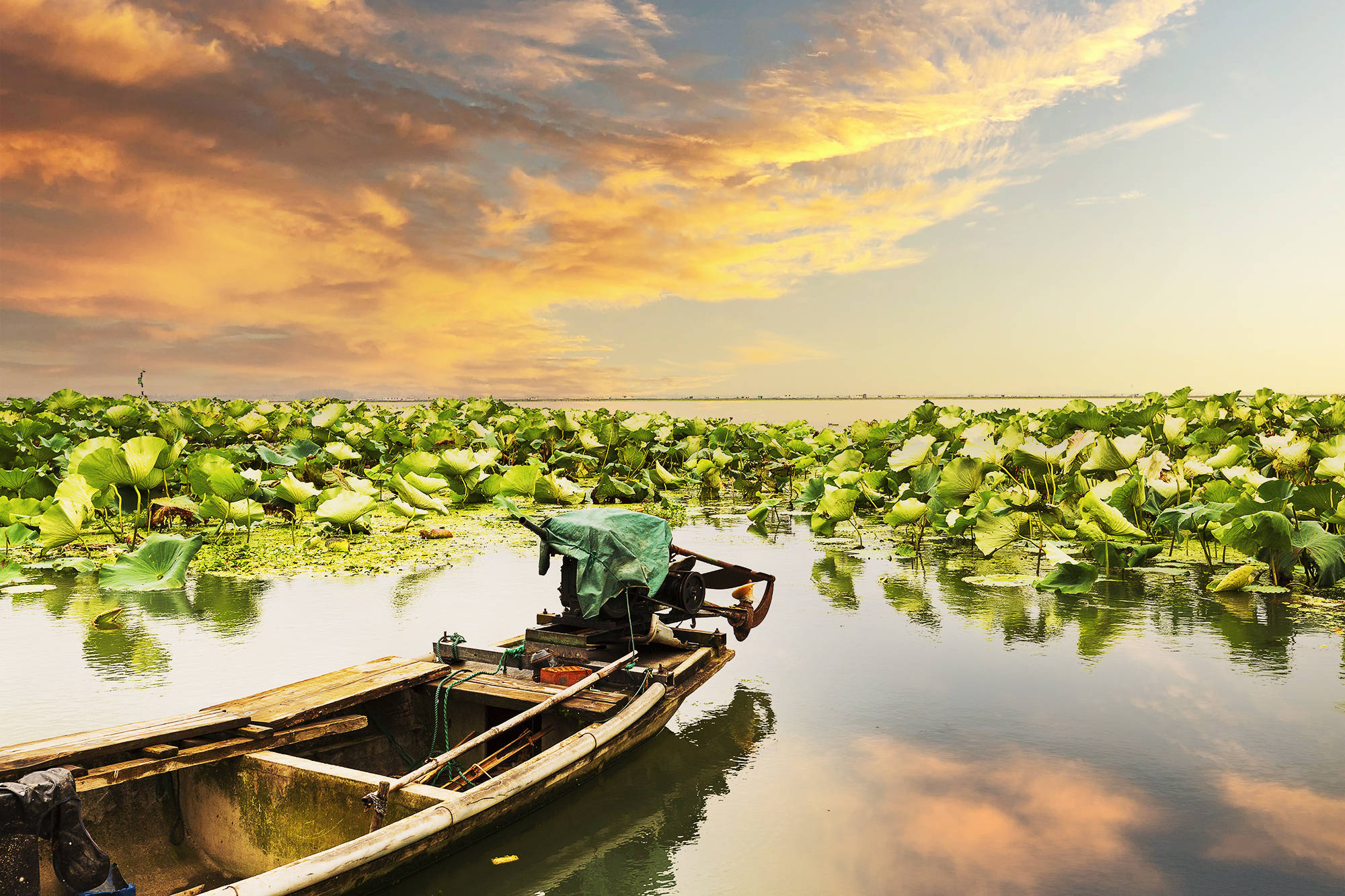人生|不是阳澄湖蟹好,人生何必住苏州