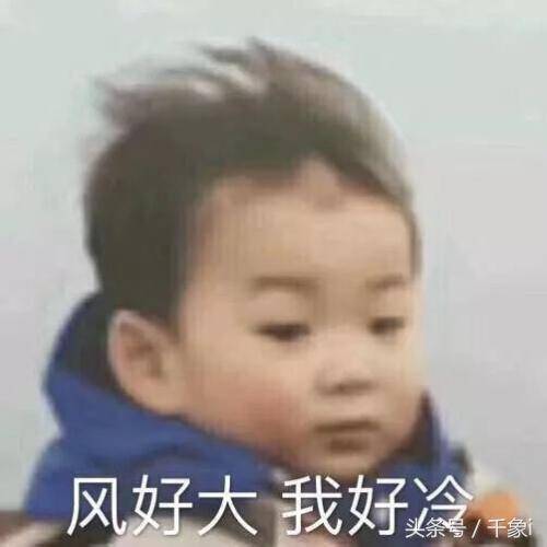 a023acc52fc741eab45401344b98145b.jpeg