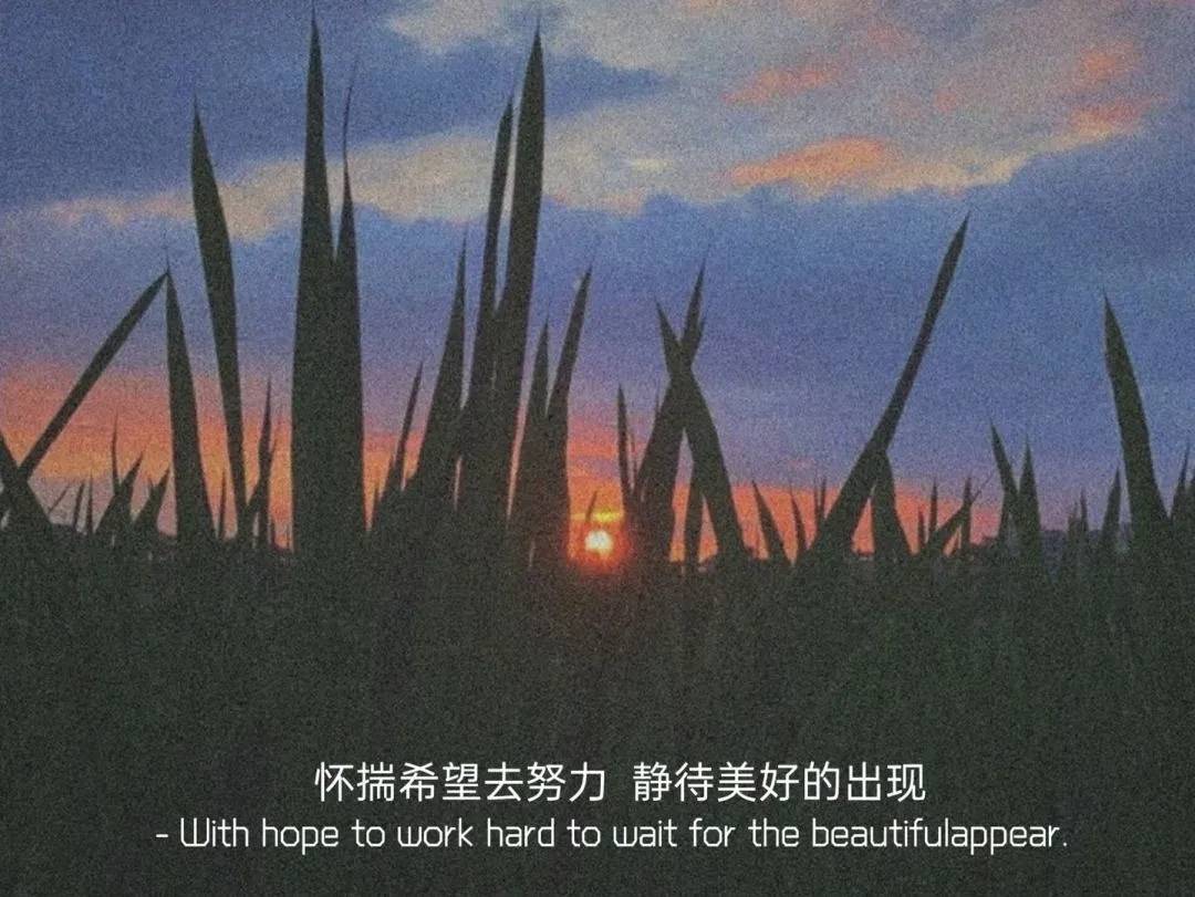 b7a8d9e33048492f94713c786d40b809.jpeg