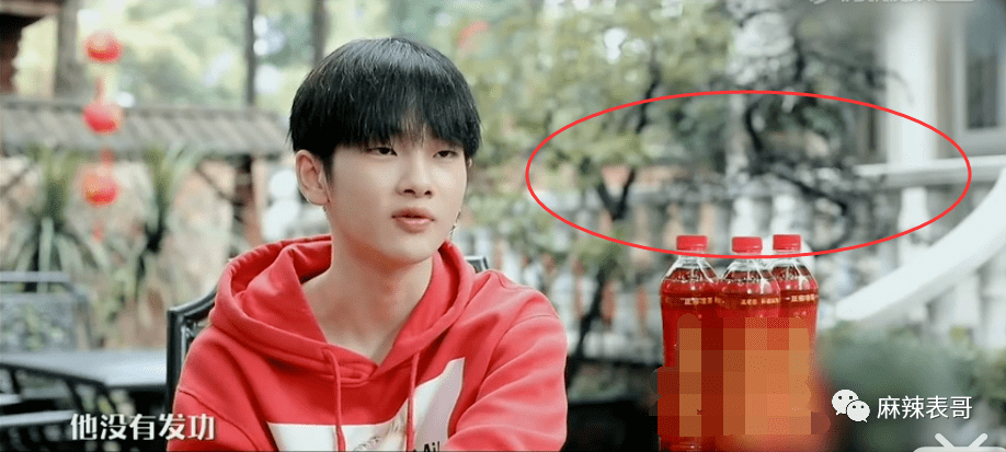 曲婉婷|爸妈老赖,周震南却戴60万手表,这是男版曲婉婷?