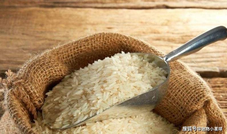 大米配送多少钱一吨 5c920569d169462c891a00f2d589947e.jpeg