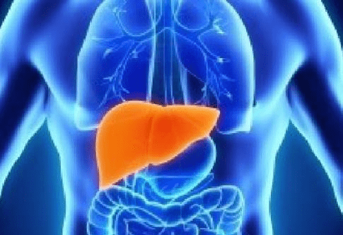 吃什么东西容易痛风 cf3b8aaba45a49249c8ff28a1792d1c1.png