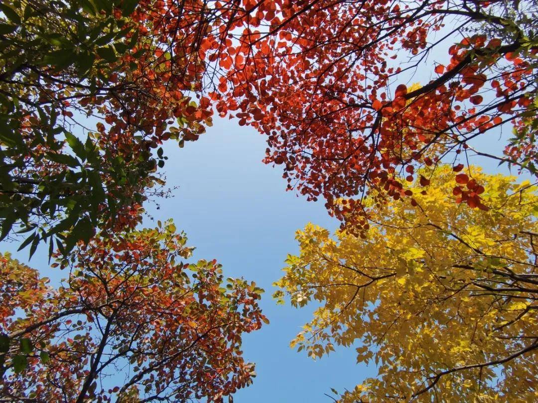 秋游济南秘境佛峪大峡谷 秋游济南秘境佛峪大峡谷