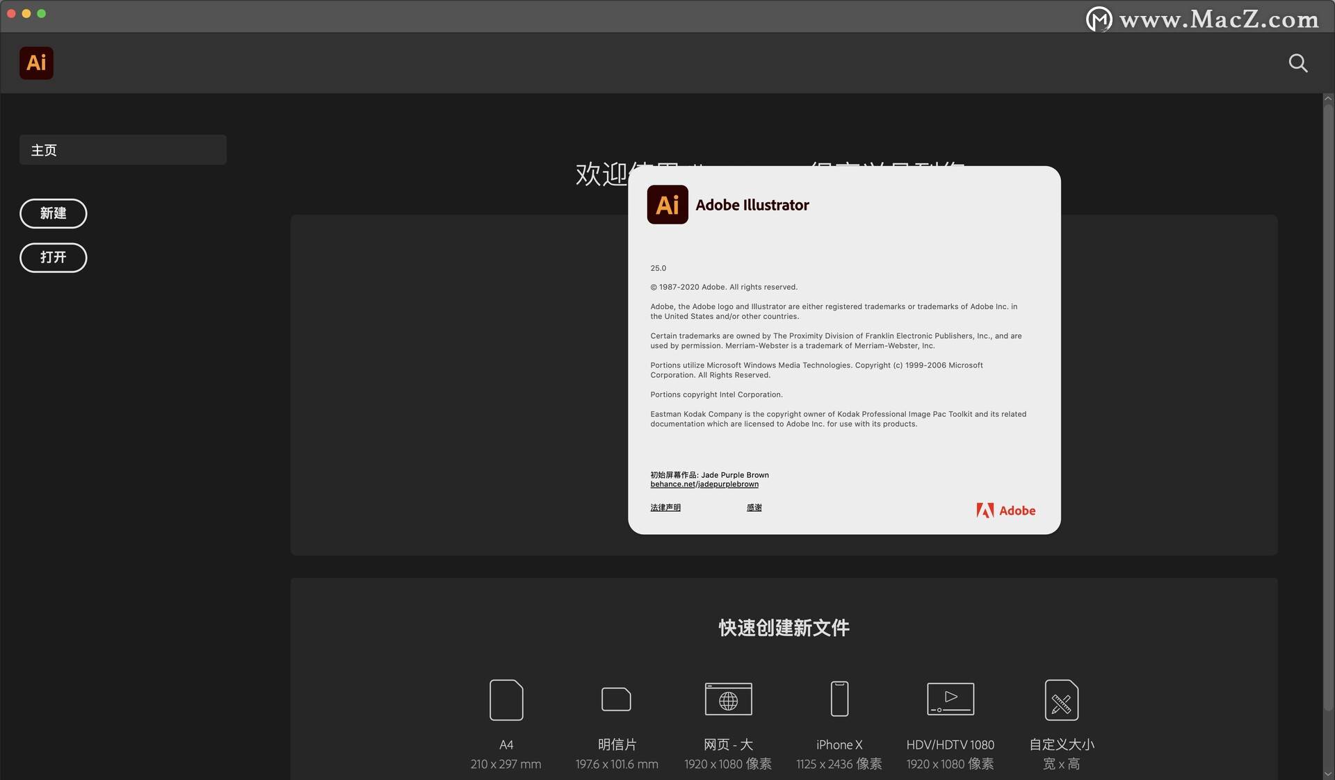 Ai2021直装版 Illustrator 2021 Mac版 设计