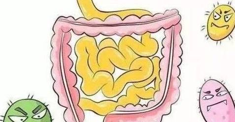2a55ad1de1334b52a94cba32933d3e03.jpeg