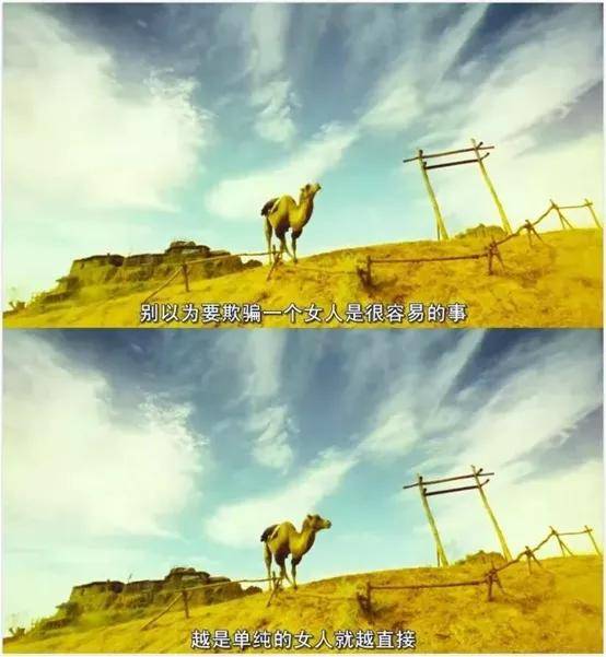 808b56b2dd054df78ff624f3fa26f144.jpeg