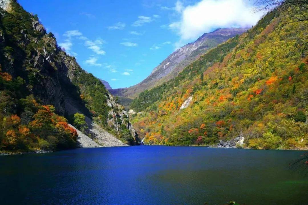 万山红遍,层林尽染,松坪沟迎来最美红叶季