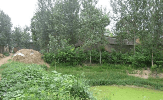 草什么门成语_草什么花什么成语(2)