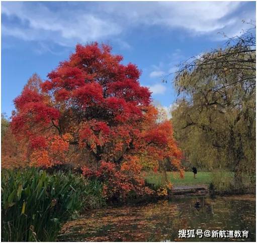 风景小短剧，探索自然之美