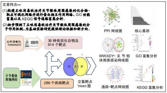 基于网络药理学分析五味消毒饮治疗关节假体周围感染的作用机制