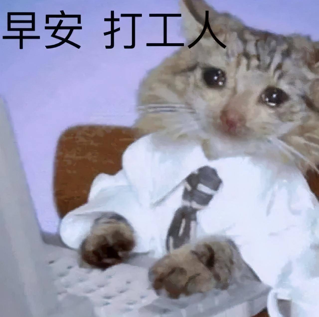 腅会人口