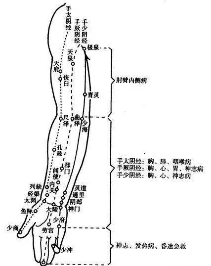 间使 曲泽 手少阴心经(火) 少冲 少府 神门 灵道 少海 足三阴 足三阴