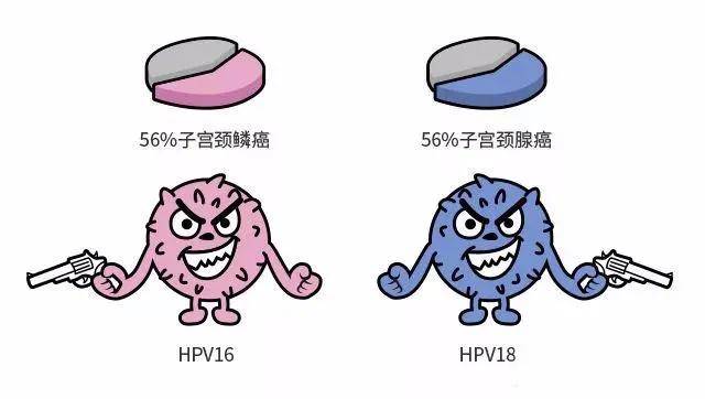 HPV可对抗，千万别恐慌！