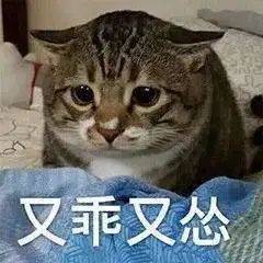 和老师抢屏幕、网课开视频洗澡……留学生的“