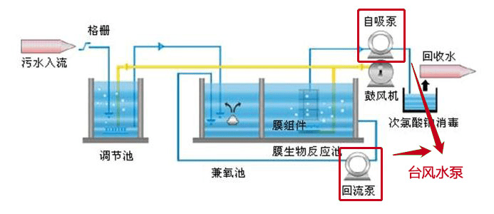 调节池提升泵台风厂家