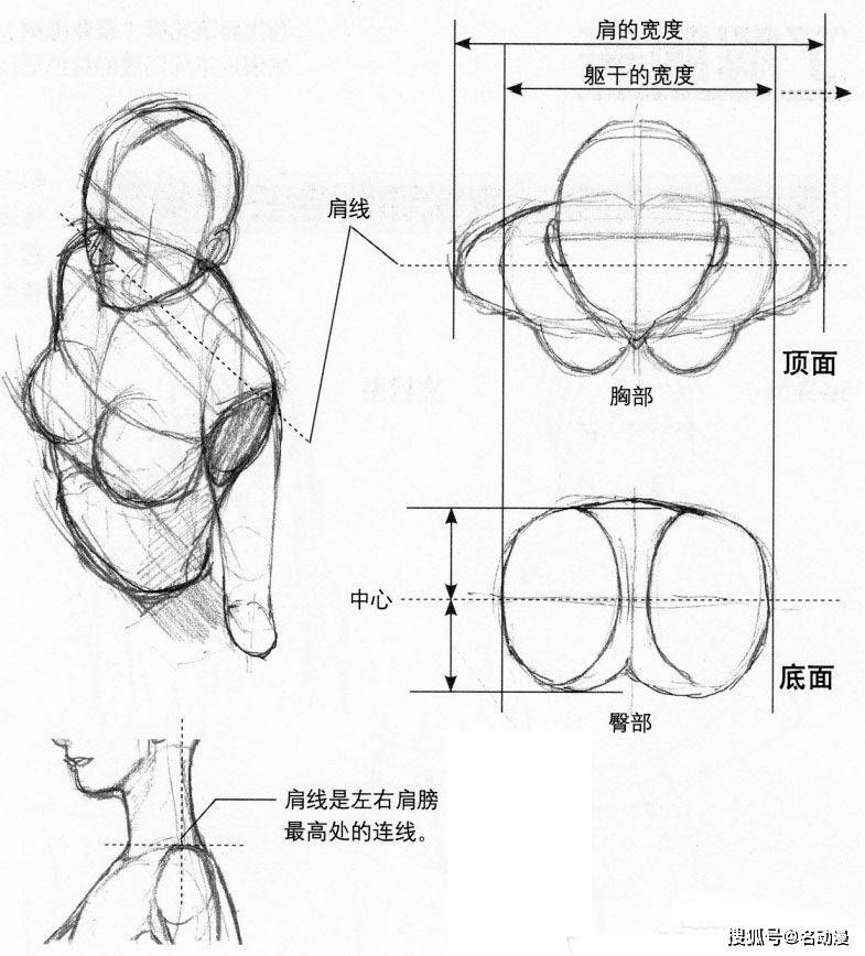 如何绘画好人物动态结构与姿态构造?