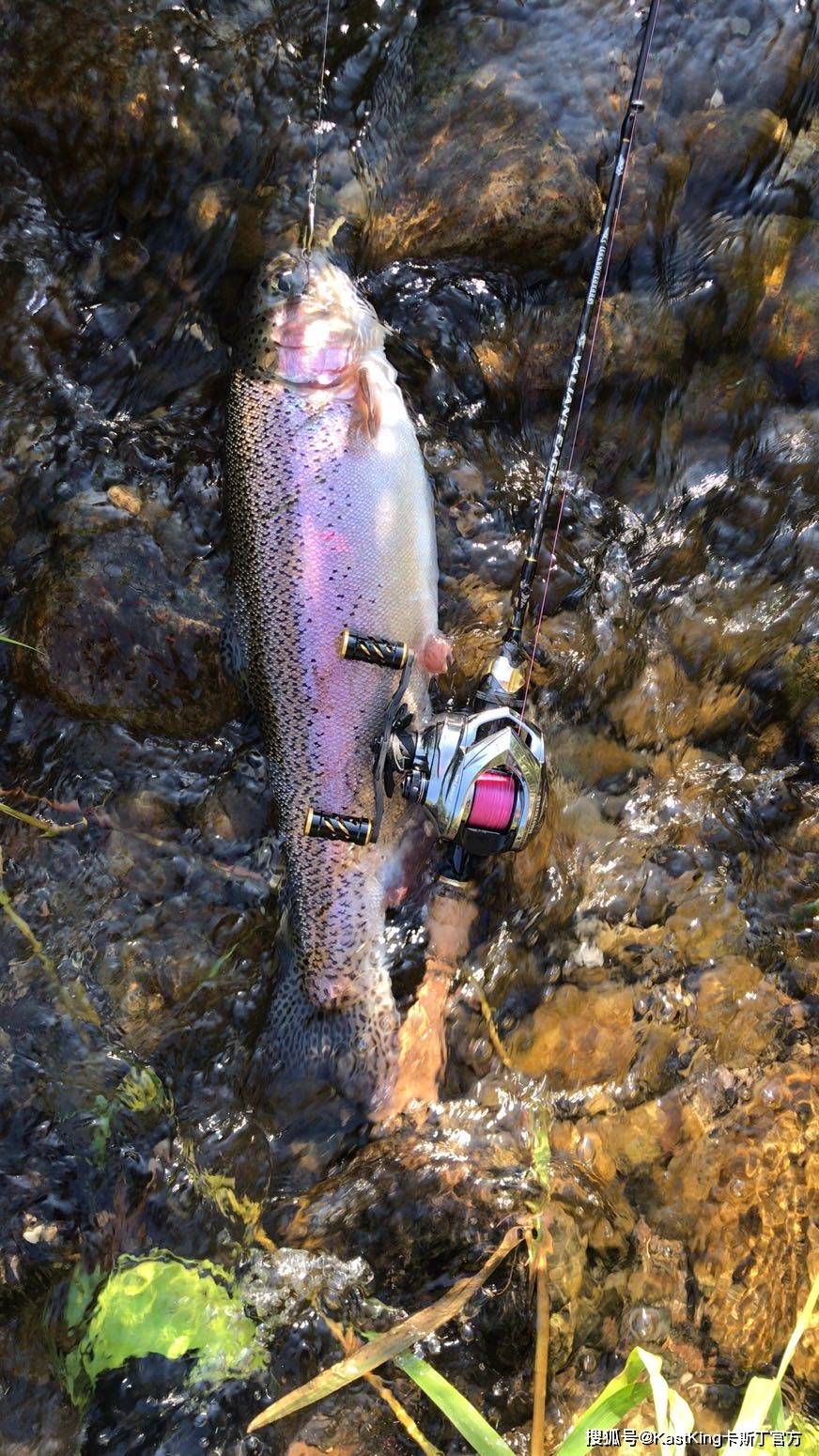 怎么选择路亚钓点 21a5c2b663c34b24b5dd104c165dd6bf.jpeg