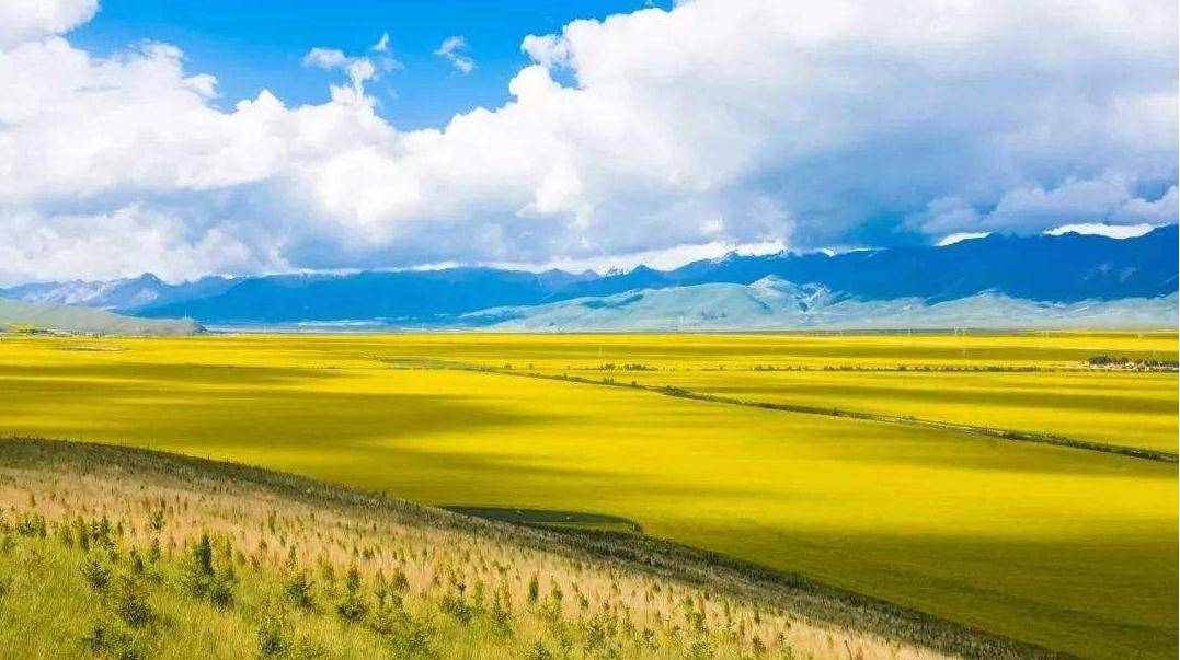 2020下半年全国旅游_2020年最佳旅行地出炉,这些地方适合下半年旅行,景色