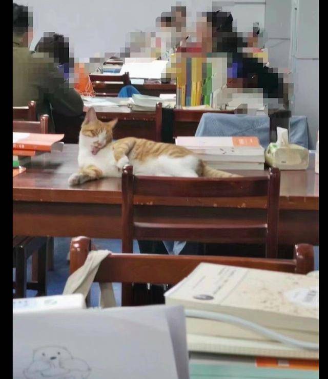 央视网评:核酸报告都敢篡改,对给防疫挖坑者当果断亮剑