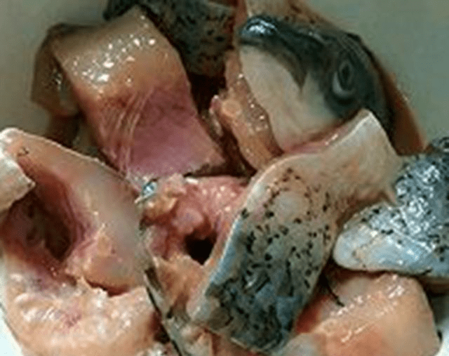 啥是九漏鱼 22b1358dd3be46148b2c5f3f46dec88d.png