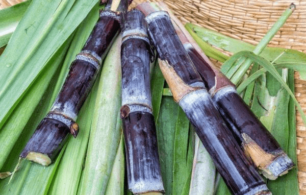 7a2997b0d2784185b925d84b8d64b0e0.png