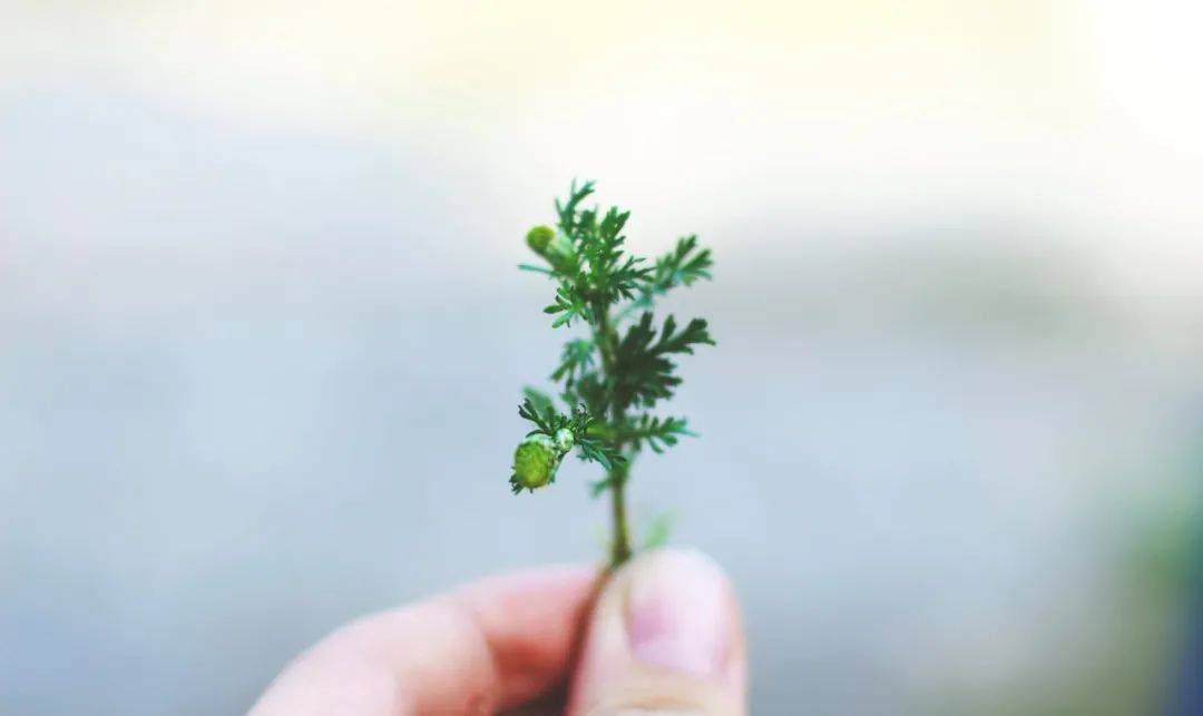 静脉|化疗前一天， 被视为“生命线”的中心静脉导管居然堵了， 她该怎么办？