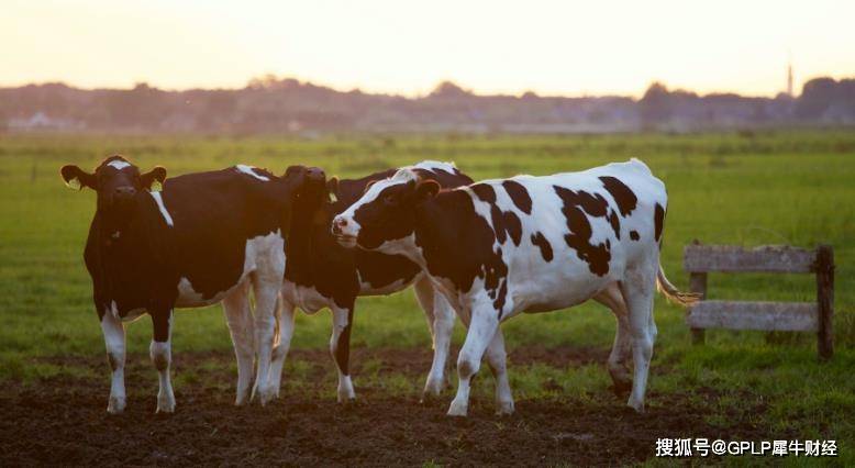 停牌调查|“妖股”天山生物前三季亏损短期成“5倍股”遭停牌调查