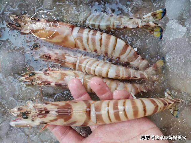 九节虾,又被称为虎斑虾,生长在海洋深处,属于海虾,常见于福建以南地区