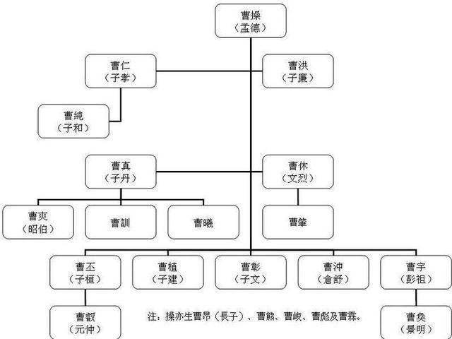 曹冲活了13岁曹彰活了39岁为何66岁的曹操子孙命不长