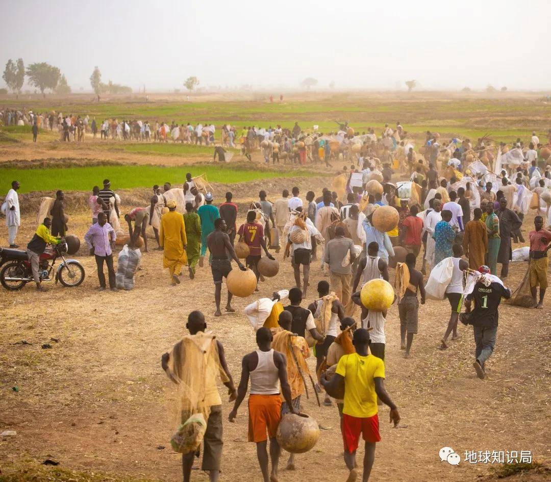 尼日利亚，2亿人口，红利还是负担？|地球知识局