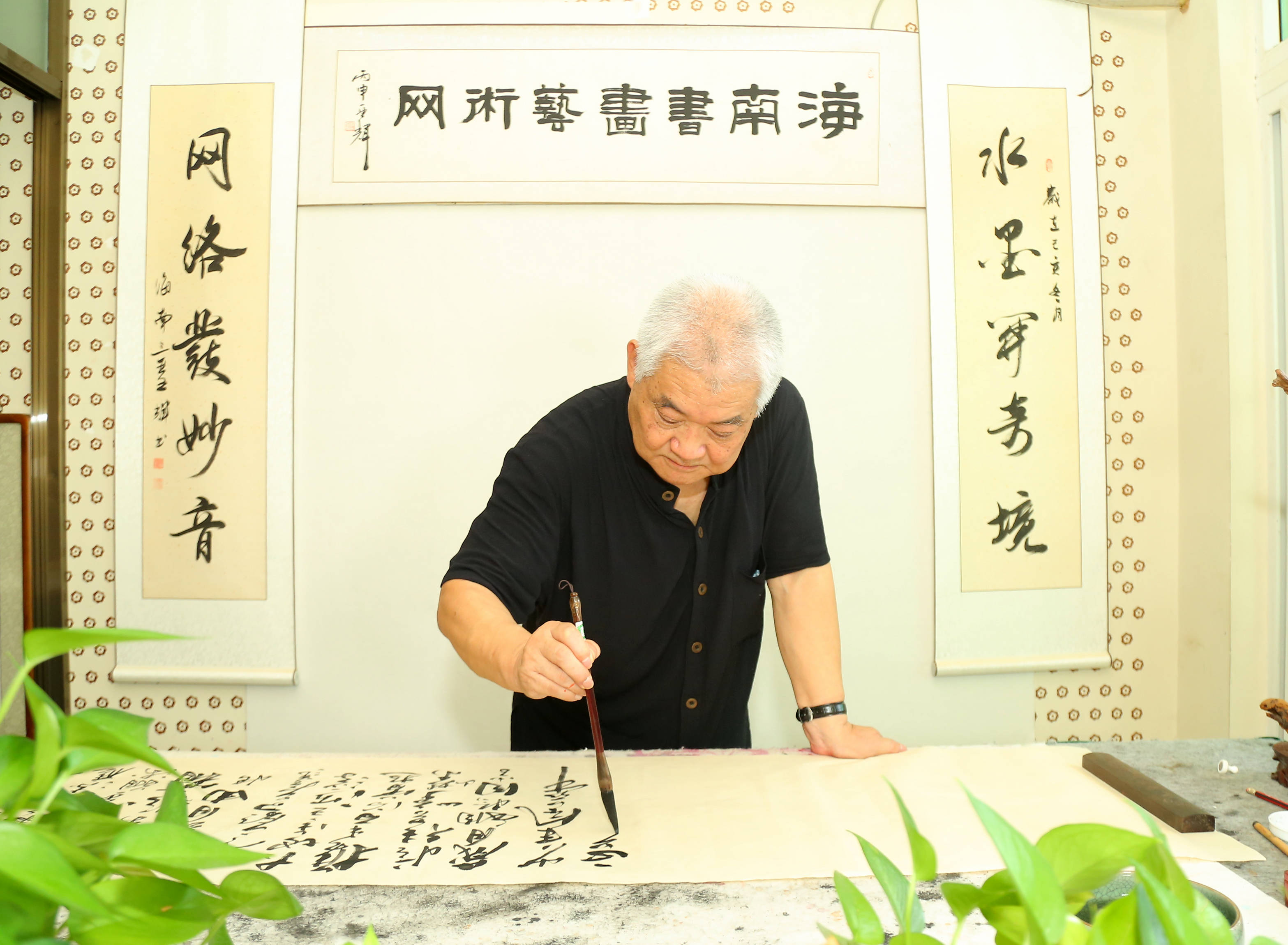 海南书画艺术网专题报道"共建自贸港,共享新未来"姜振华作品展