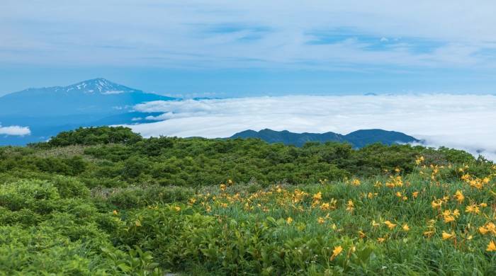 小家电出口“爆单”多到不敢接?家电海外市场真相是什么-家电圈官网