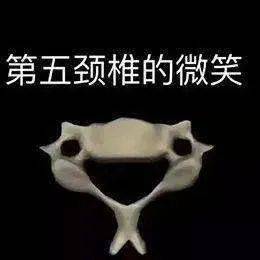 f74cbc791f874d3e8f936fb2b62ac1b1.jpeg