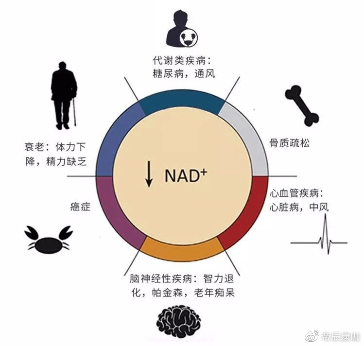 277da1c775e5405c92a2af0e6e3fdac2.png
