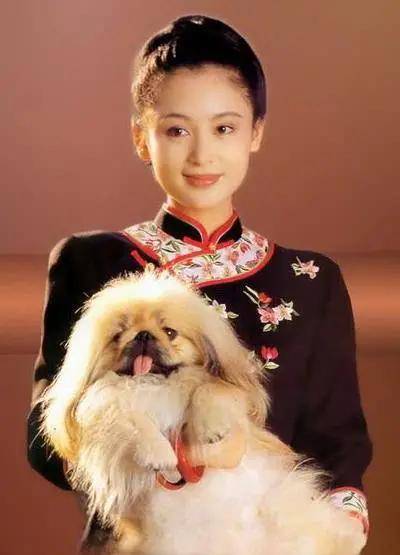 陈红和|女明星比美暗自发力？！唐艺昕产后复出美炸天，可惜对上了婊里婊气的乔欣...