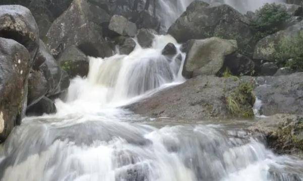 深圳坪山区经济总量增长示意_深圳坪山区