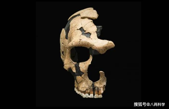 共济会人口灭绝步骤_共济会手势图片
